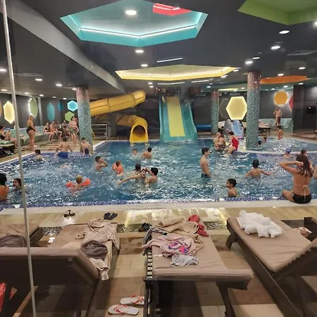 Ebra 76 Kraljevi Cardaci *